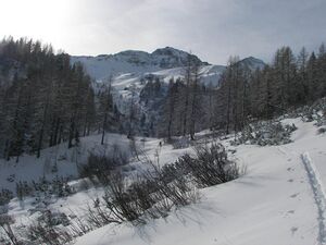 Wildkar 2592 2007-03-11.jpg