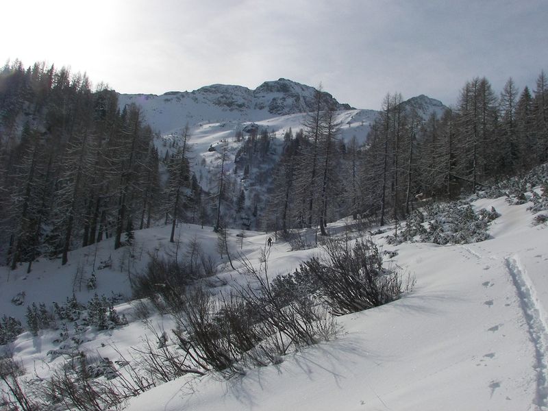 Datei:Wildkar 2592 2007-03-11.jpg