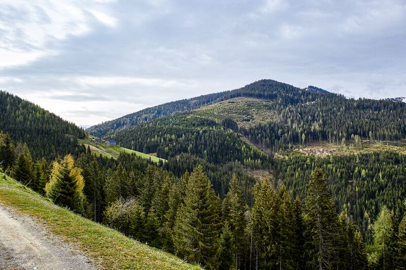 Datei:Zachenschöberl 2859-2021-05-24.jpg