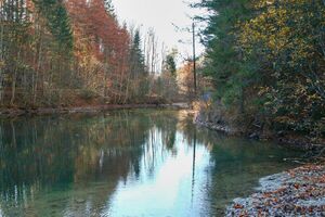 Almseeteich burgstaller 13955 2015-11-12.jpg