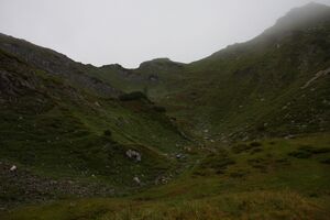 Brotrinndl 2679 2011-07-20.jpg