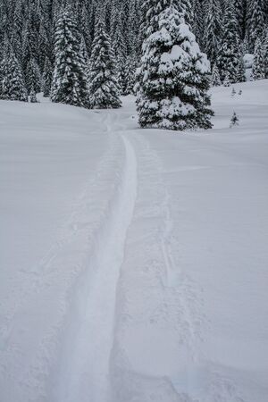 Eiblalm steinriesental 59770 2013-02-27.jpg