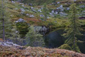 Griegelsee großsölk 71596 2014-09-16.jpg