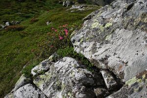 Im Hüttkar 39506 2012-06-29.jpg