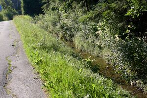 Lacknergraben rottenmann-0082-2025-07-05.jpg