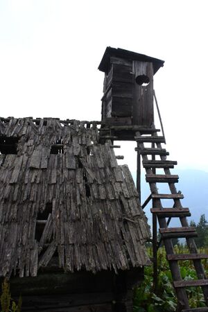 Madelsgrubenalm-großsölk 97553 2015-07-09.jpg