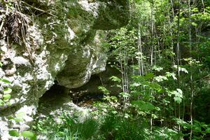 ND 356 Teichenbach Unterkainisch-0245-2025-05-01.jpg