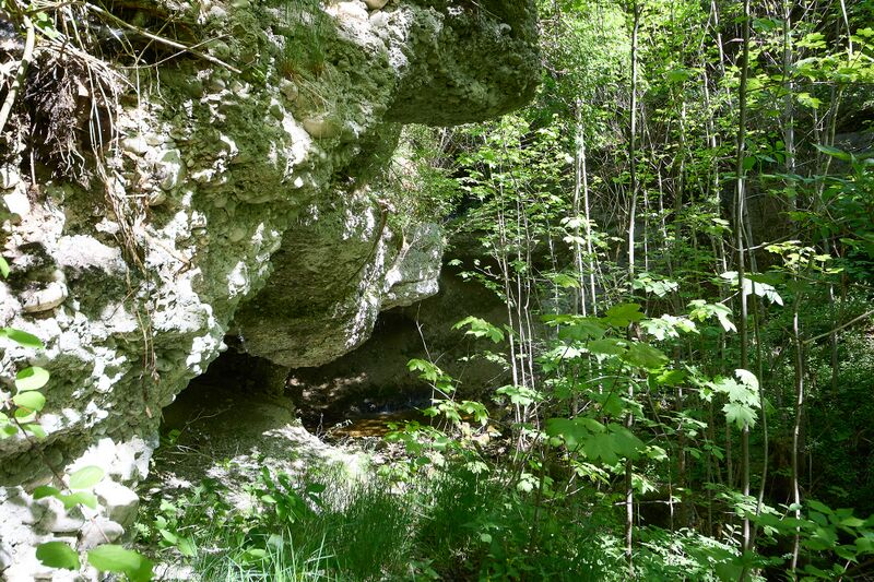 Datei:ND 356 Teichenbach Unterkainisch-0245-2025-05-01.jpg