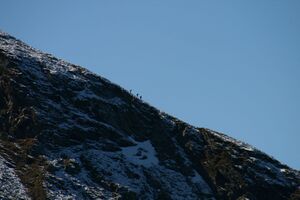 Spateck-schladminger törl 21003 2007-09-29.jpg