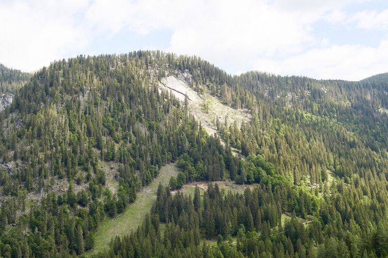 Datei:Steileck gnanitz-0126-2024-06-05.jpg