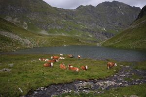 Unt landawirsee 33076 2011-08-01.jpg