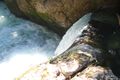 Wasserfall-laussabach0019.jpg