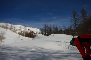 Elmgrube 2469 2008-02-04.jpg