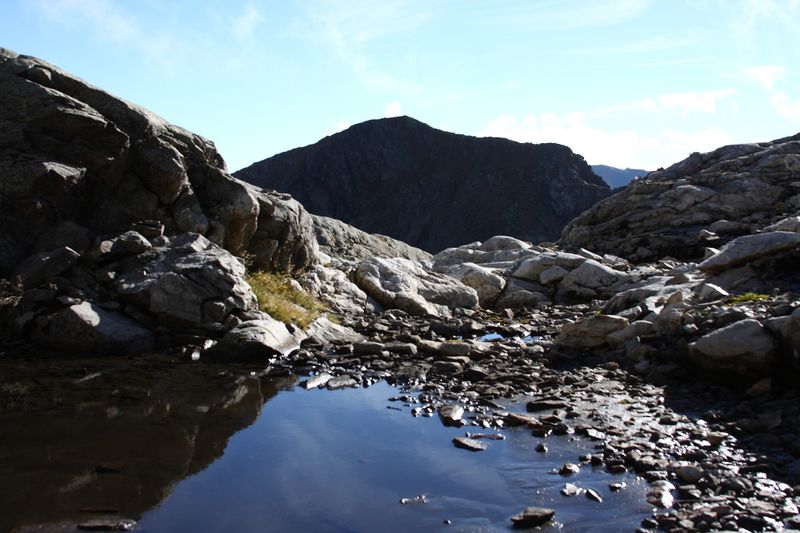 Datei:Goldlacken 0234 2013-10-08.jpg