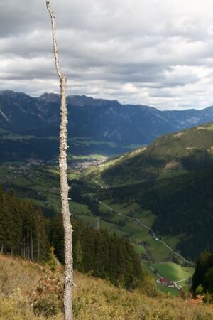 Guschen 19979 2007-09-28.jpg