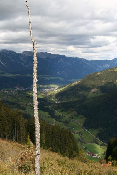 Datei:Guschen 19979 2007-09-28.jpg