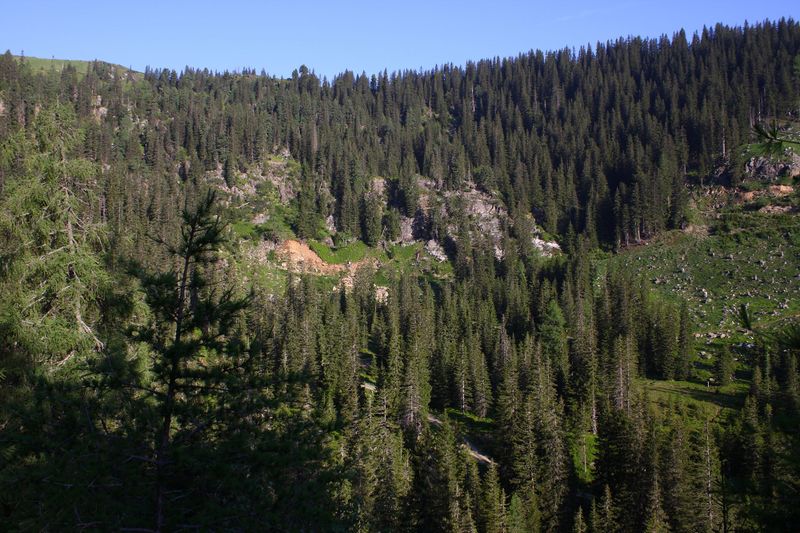 Datei:Höll-wölzer tauern 89954 2015-06-08.jpg