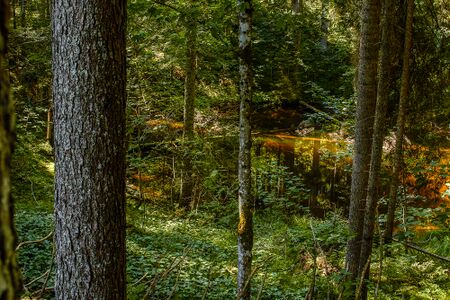 Kalte seel-0135-2021-08-21.jpg