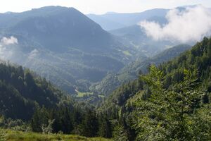 Kaltengraben Palfau-0573-2025-06-24.jpg