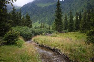 Knallbach knallalm 55596 2016-08-17.jpg