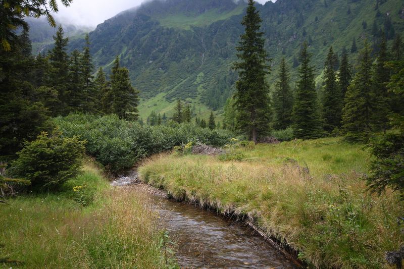 Datei:Knallbach knallalm 55596 2016-08-17.jpg