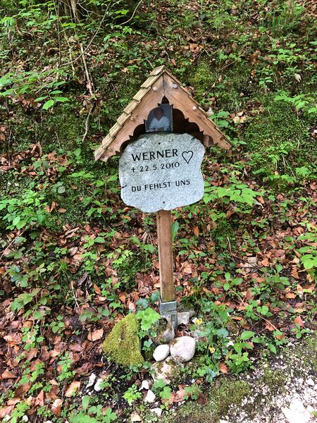 Datei:MA werner koppental-3100-2021-06-08.jpg