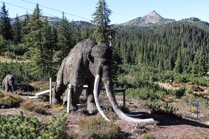 Mammut planner 85251 2018-10-04.jpg