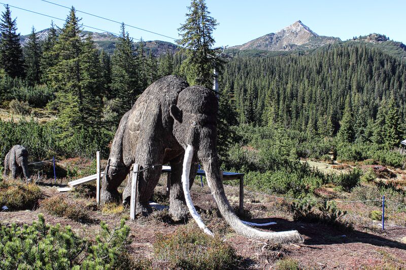 Datei:Mammut planner 85251 2018-10-04.jpg