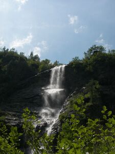 Putzentalalm 16540 2006-07-06.jpg