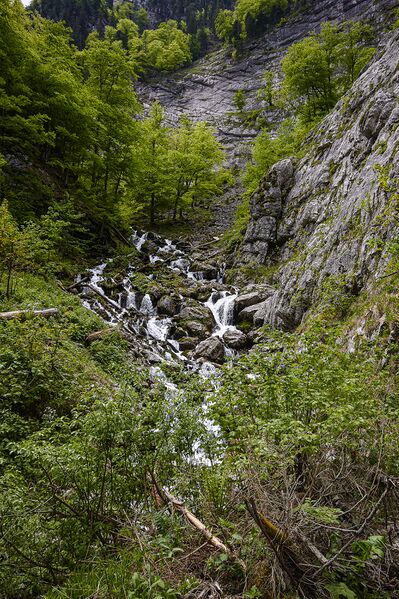 Datei:Schöffauer lahngang-1000-2021-06-05-2.jpg