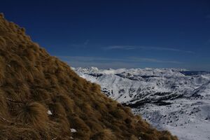 Schoberspitze (Planneralm) 52139 2014-03-20.jpg
