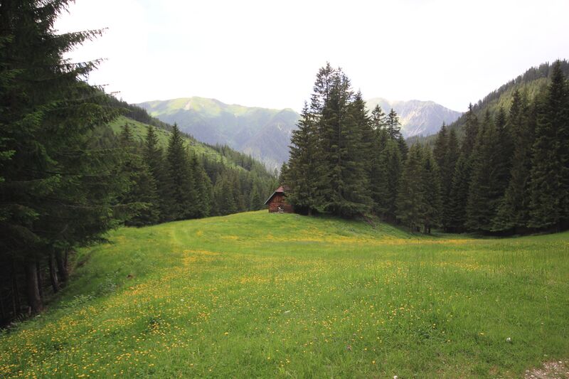 Datei:Stillbachhütte oppenberg 78031 2018-06-11.jpg