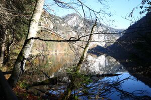 Toplitzsee 78175 2014-11-03.jpg