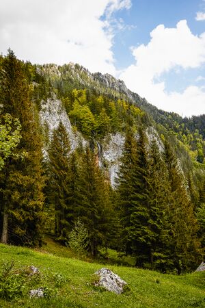 Wsf wolfbauer johnsbach-1040-2020-05-18.jpg