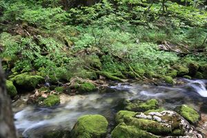 Zimitzbach grundlsee 77289 2018-06-04.jpg