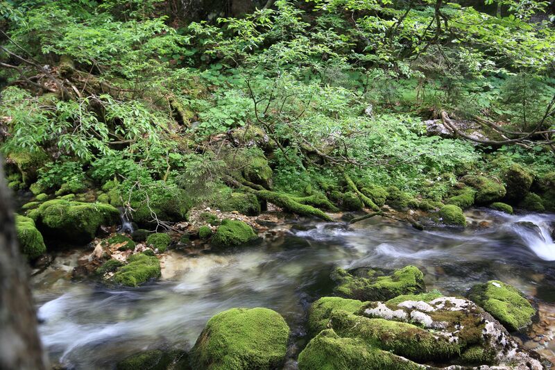 Datei:Zimitzbach grundlsee 77289 2018-06-04.jpg