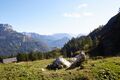 Ausseer sandlingalm-0080-2021-10-11.jpg