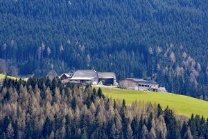 Bauer in Kulm-3000367-2023-04-22.jpg