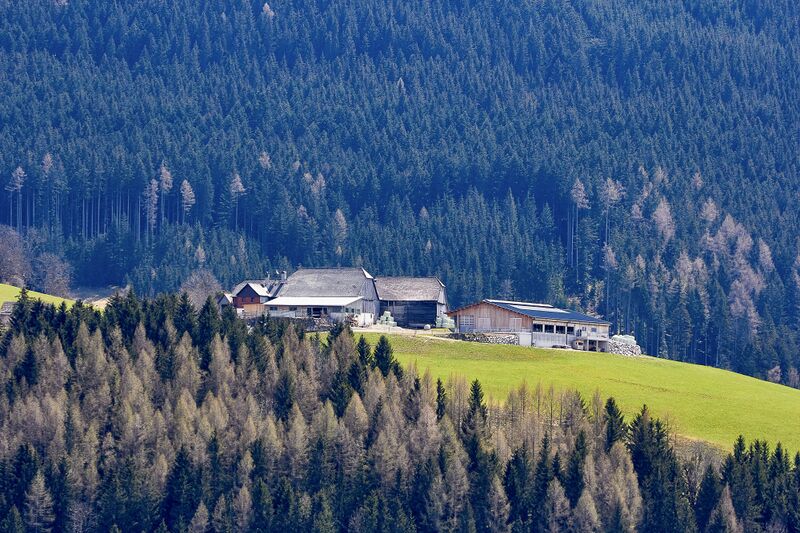 Datei:Bauer in Kulm-3000367-2023-04-22.jpg