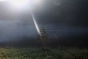 BodenseeIMG 0307.jpg