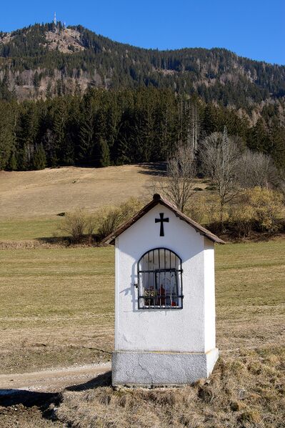 Datei:Bst Goldbichl-14-2025-03-06.jpg