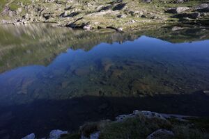 Buckelkarsee 26122 2010-07-21.jpg