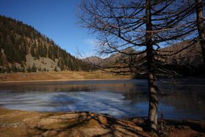 Duisitzkarsee 14370 2011-11-30.jpg