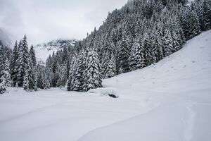 Eiblalm steinriesental 59771 2013-02-27.jpg