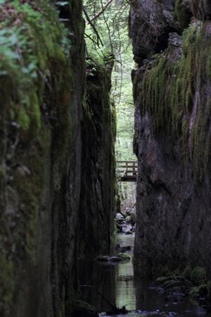 Flößereidurchbruch kammersee 46986 2017-05-17.jpg