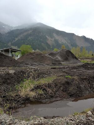 Frauenberger Torfstich070271.JPG