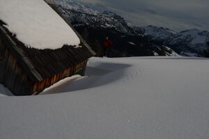 Gössleralm-salzofen 2620 2008-02-04.jpg