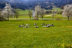 GD Grubenunglück Lassing-0005-2023-05-04.jpg