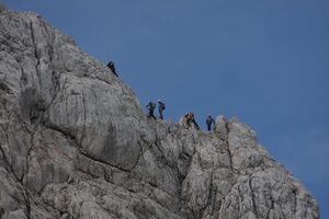 Hohes dirndl 31984 2011-06-16.jpg