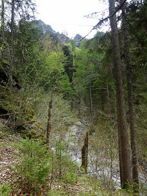 Humlechnergraben 54610 2014-04-27.JPG